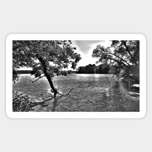 Tree in a Lake Black and White Digital Pencil Drawing Sticker